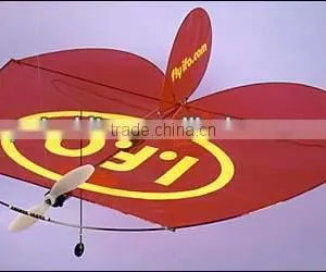 Remote Control Kites thumbnail-1