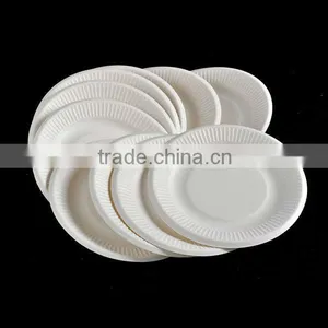 6 Inch Disposable Stripe Sugarcane Plates thumbnail-2