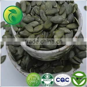 Pumpkin Seeds Kernels GWS Oil For Sale thumbnail-1