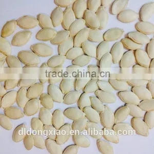 Shine Skin Pumpkin Seeds Organic Certified for EU/ USDA thumbnail-5