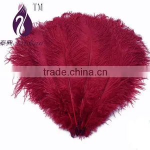 15CM-20CM Ostirch Feather,TURQUOISE BLUE Ostrich Feathers Wholesale thumbnail-3