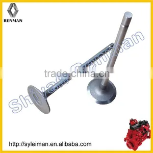 Intake Valve 10BF11-07011/07012 thumbnail-1
