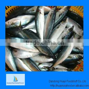 Frozen Fish Pacific Mackerel Sea Fish thumbnail-1