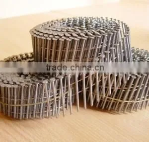 Coil Nails thumbnail-4