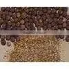 Black Pepper Oleoresin thumbnail-1