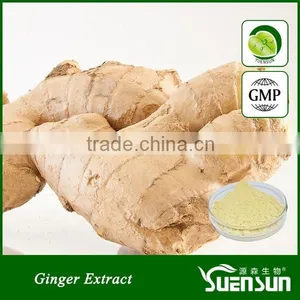 Pure Natural and 100% Top Quality Ginger Powder Dried Ginger Powder thumbnail-1