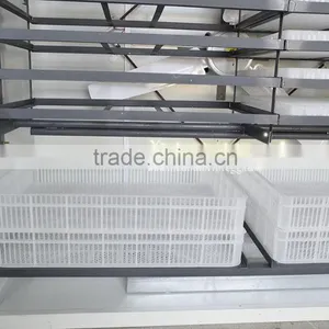 Professional Industrial Egg Hatching Machine Price for Sale thumbnail-3