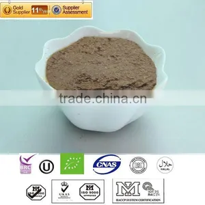 High Quaility Pure Jujube Extract Powder thumbnail-1