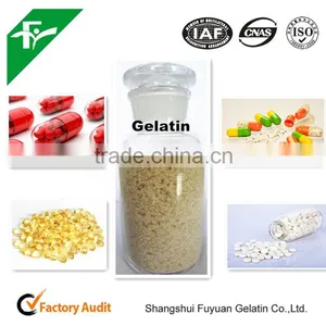 HALAL/KOSHER High Bloom Gelatin,pharmaceutical Gelatin/medical Gelatin China Plant thumbnail-1