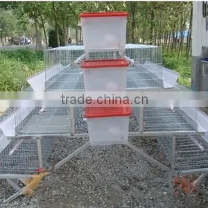 Quail Battery Cages for Sale Poultry Battery Cages Chicken Cages thumbnail-1