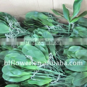 MINI Phalaenopsis Orchid Leaf Spray thumbnail-1