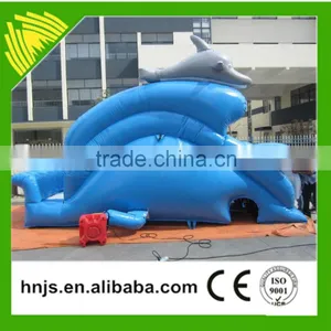 Amusement Ride Inflatable Slide Price thumbnail-2