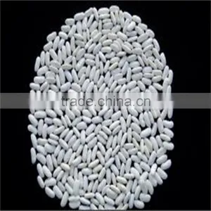 White Kidney Bean thumbnail-3