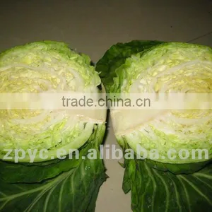 Chinese Fresh Cabbage thumbnail-1