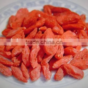 Goji Berry for Medicines thumbnail-3