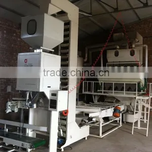 Chinese High Quality Healthy Low Price Sunflower Seeds From Supplier or Manufacturer thumbnail-4