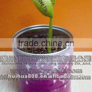 Mini Plant thumbnail-1