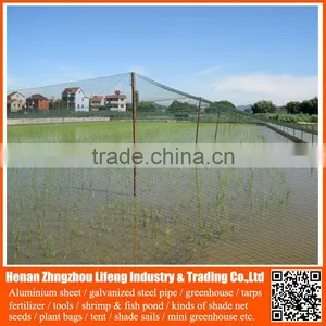 Chinese Factory Directly Supply Knitted Economy Anti Bird Netting , Cheap Plastic Hdpe / pe Anti Bird Net thumbnail-2