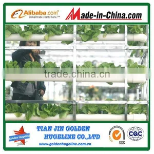 4-8mm Agriculture Expanded Perlite for Strawberry thumbnail-1