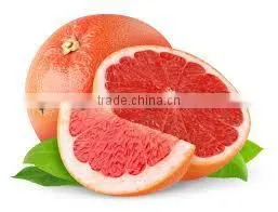 Supplier of Grape Fruit Oil / Fresh / Natural / Pure thumbnail-1