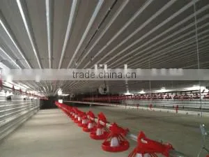 Broiler Chicken House thumbnail-4