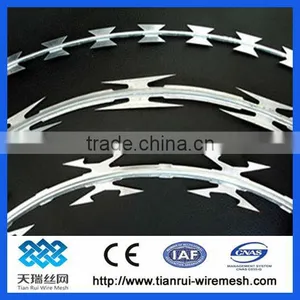 Galvanized Barbed Wire With 4 Points / Razor Barbed Wire thumbnail-1