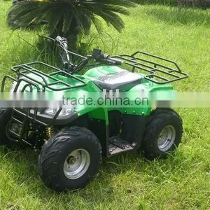 EEC ATV SX-E 1000 ATV(B) thumbnail-1