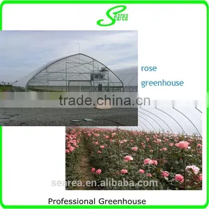 Single Span Commercial Used Greenhouse for Rose thumbnail-1