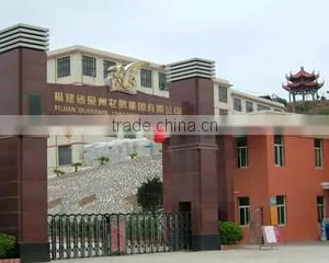Fujian Quanzhou Longpeng Group Co., Ltd. company overview - view 1 thumbnail