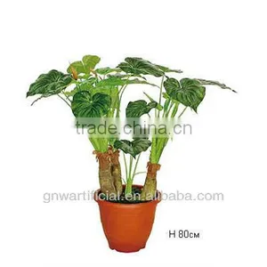 Home Decoration Plants Larger Green Pot 1.8m High GNW G158 thumbnail-3
