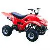 Gasoline ATV thumbnail-1