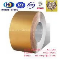 Hot Prime PPGI Prepainted Galvanized Steel Coils Sheets Good Price From China for Roofing thumbnail-1
