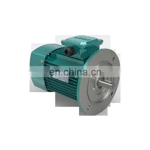 YE2 Series Industrial Electric Motor High Speed Three Phase Induction Motor for Machinery Asynchronous Motor thumbnail-4