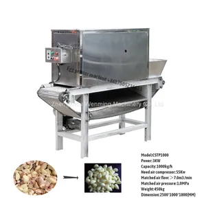 Commercial Chain Type Garlic Peeling Machine High Capacity Garlic Peeling Machine Automatic Garlic Peeler Machine thumbnail-5