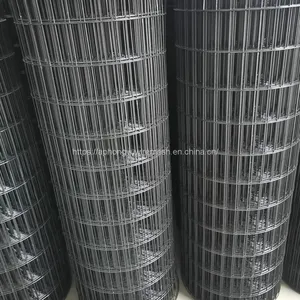 Black Welded Wire Mesh Welded Wire Mesh Chicken Wire Netting Wire Netting Poultry Fence Poultry Mesh Welded Wire Black Wire Black Welded Weld Wire thumbnail-2