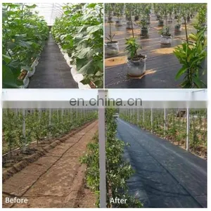 Landscape Ground Cover Heavy PP Woven Weed Barrier,Soil Erosion Control and UV Stabilized, Plastic Mulch Weed Block thumbnail-2