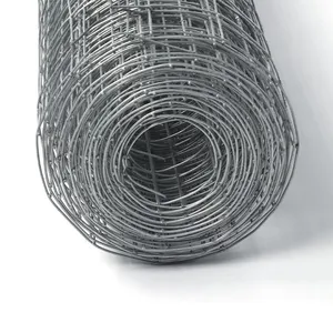 High Adhesion Galvanized Welded Wire Mesh Square Hole Shape for Interior/Exterior Wall Plastering Factory Price Cutting Service thumbnail-5