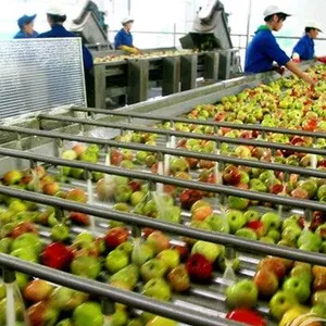 Juice Making and Packaging Machine Natural Fruit Juice Production Line Juice Bottling Plant/Filling Machine/Production Line thumbnail-3