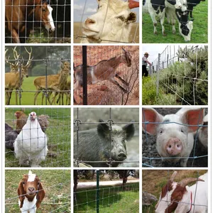 Hot-Dip Galvanized Cattle Fence for Outdoor Animal Containment thumbnail-5