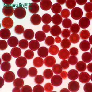 Astaxanthin thumbnail-3