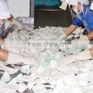 Vietnam Desiccated Coconut Medium Fat (Chip Grade) - HIGH QUALITY, COMPETITIVE PRICE!!! thumbnail-2