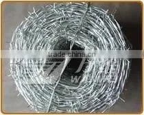 Galvanized Barbed Wire thumbnail-1
