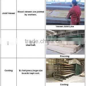 PINE LVL SCAFFOLD BOARD FOR U.A.E thumbnail-5