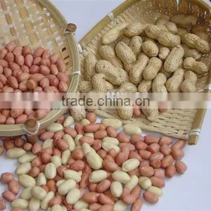 New Crop Chinese Roasted Peanuts In Shell thumbnail-4