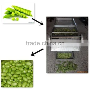 Good Quality Edamame Sheller for Edamame Shelling thumbnail-1