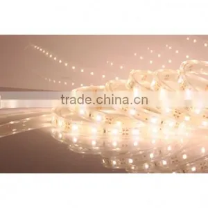 SDSLED IP68 60LED/m Warm White DC12V 3528 Waterproof LED Strip Light thumbnail-2