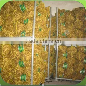 GINGER PRICE IN CHINA thumbnail-6