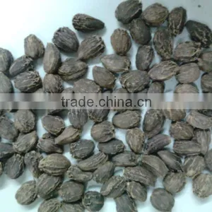Large Cardamom thumbnail-1