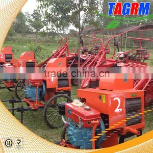 6BZ-5 Sugarcane Top Removing Machine/sugarcane Top Remover Machine With Top Efficiency Selling thumbnail-2