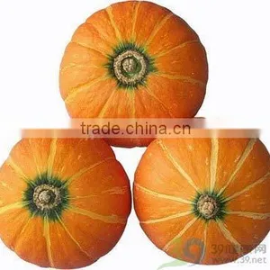 Pumpkin Seed Oil(cold Press) thumbnail-1